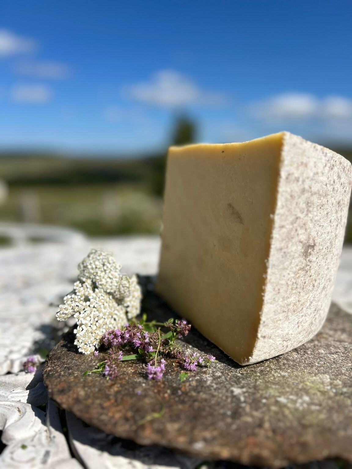 fromage , cantal , gastronomie